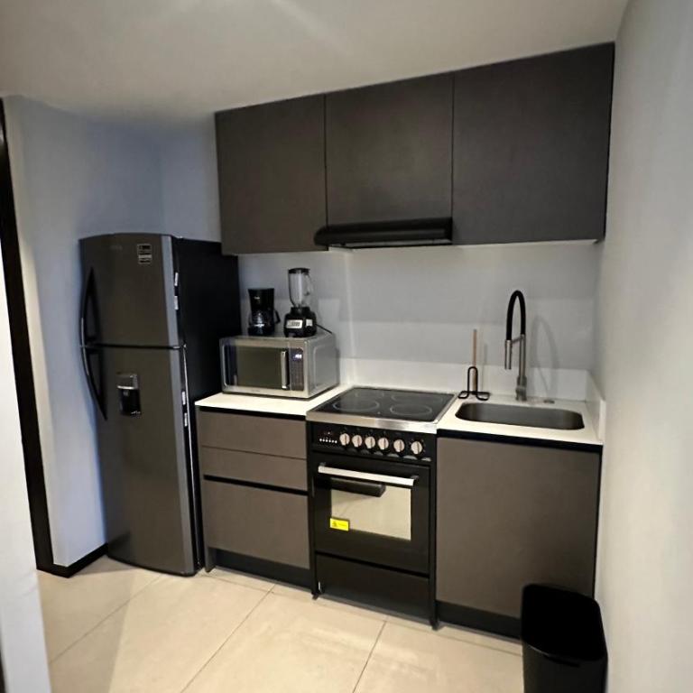 Dpto nuevo en Chapultepec - Apartamento de 1 dormitorio - 23