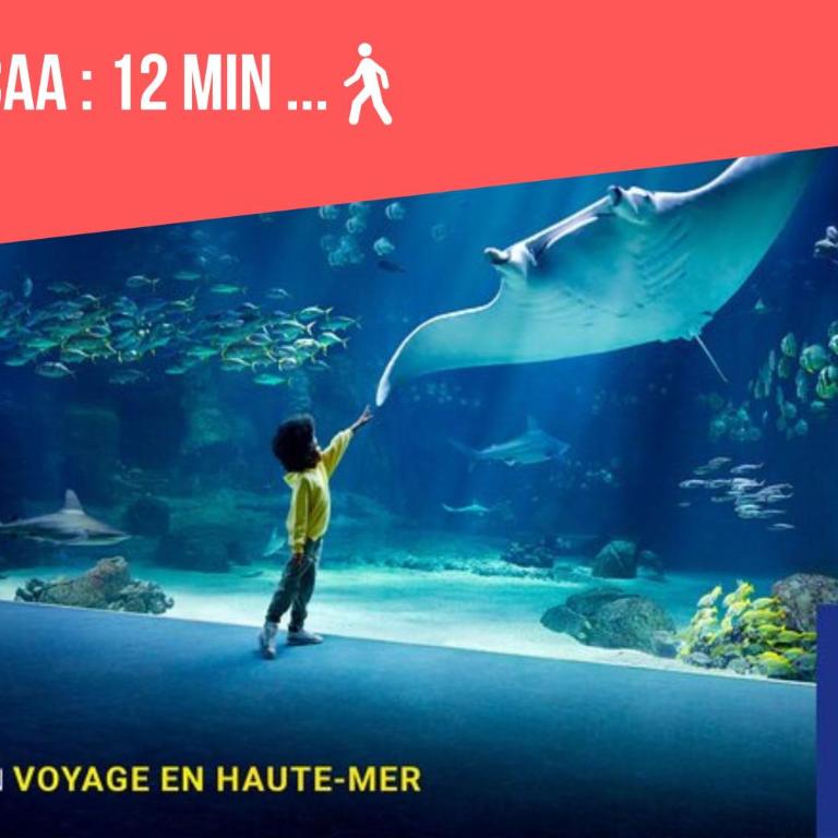 Nostalgie 90- emplacement idéal- parking gratuit - Appartement 1 Chambre - 31