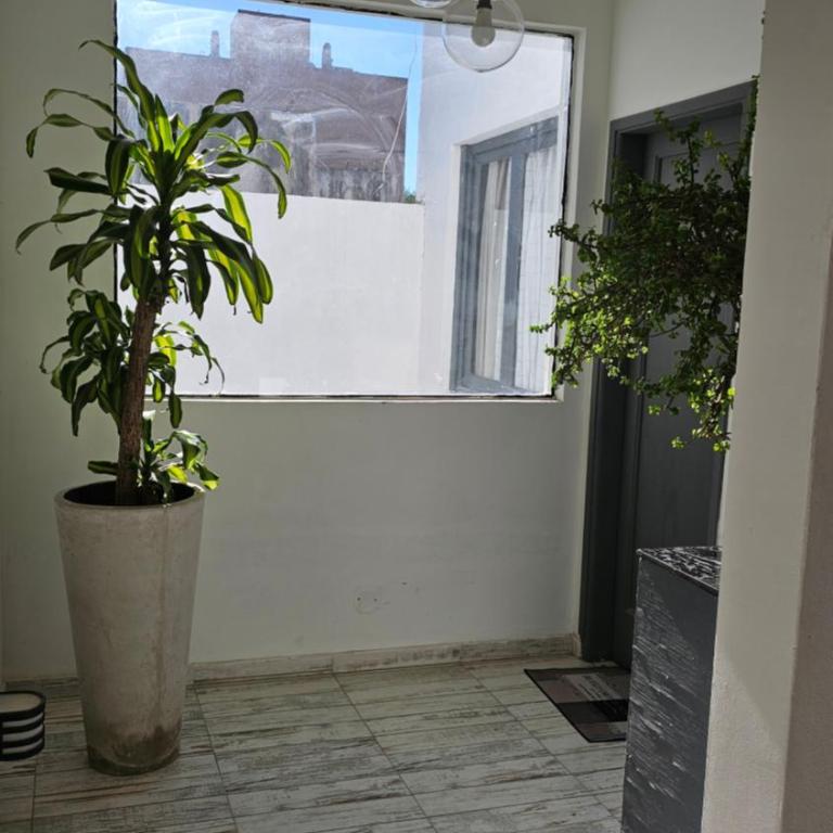 RaGi dpto 4 - Apartamento de 2 dormitorios - 1
