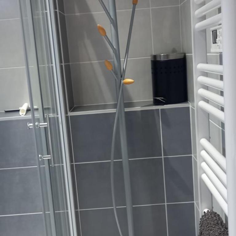 A l instant présent - Appartement 1 Chambre - 9