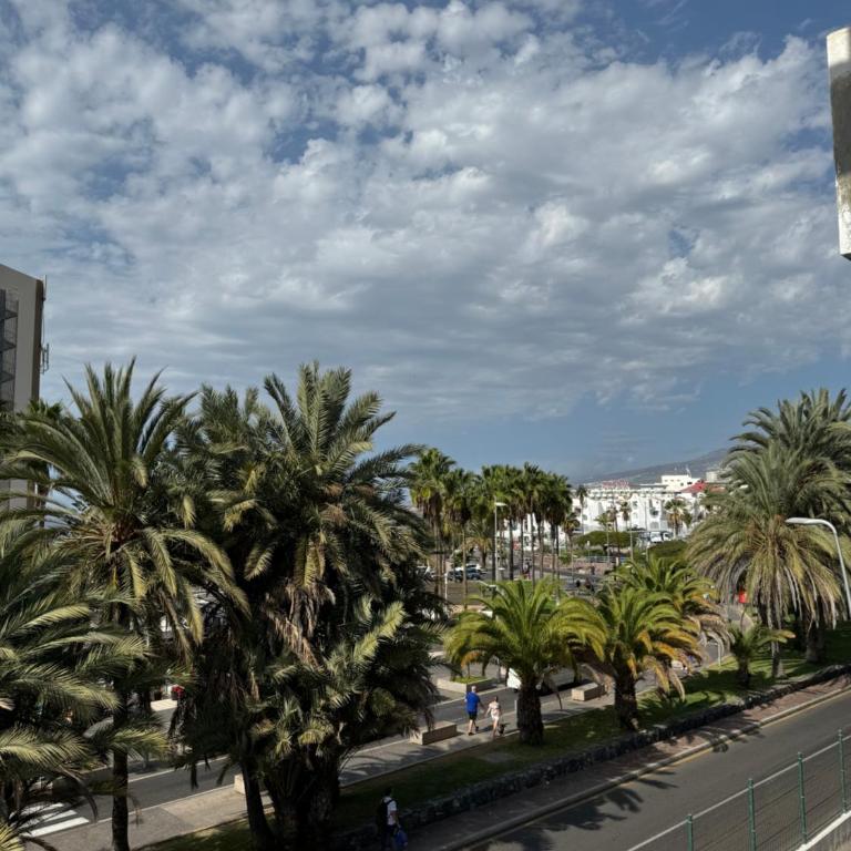 las Piteras - Apartamento de 1 dormitorio - 2