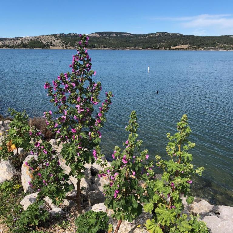 Gruissan (Aude) Appartement calme, vue sur port de plaisance -Clim, Empl.Parking - Appartement 1 Chambre - 48