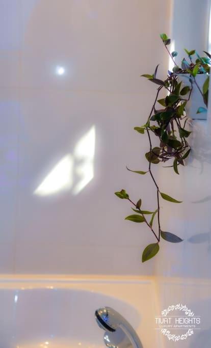 A1 2 beds 2 baths Lux Condo Pool Sea Views - Two-Bedroom Apartment - 65