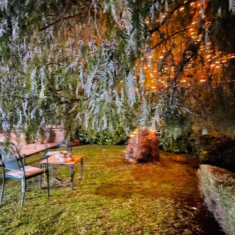 Casa Fiorita Appia Antica - Apartment mit 2 Schlafzimmern - 42