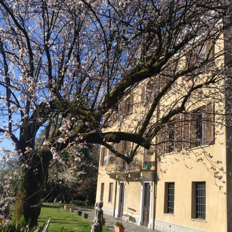 Villa Campana free private parking - One-Bedroom Apartment - 49