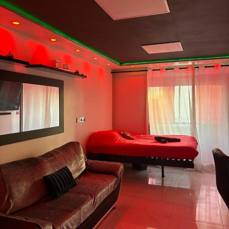 C12 Deluxe - Apartamento Deluxe - 28
