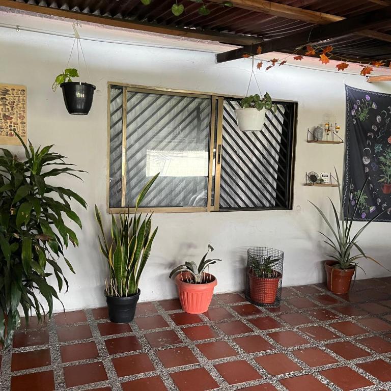 Nice Place - Apartamento de 1 dormitorio - 5