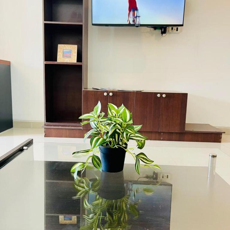 TORRES OASIS - EQUIPETROL, Confortable Depto - Apartamento de 1 dormitorio - 9