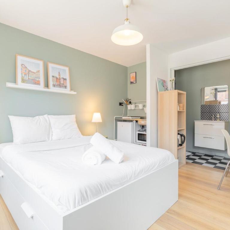 Vieux Lille : Equipped studio - Appartement 1 Chambre - 2