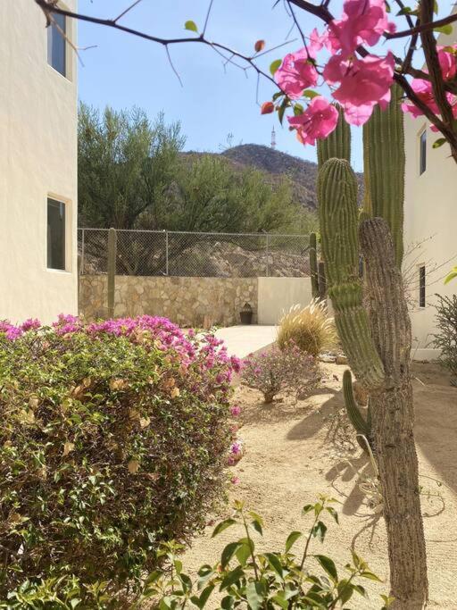 Casa Moderna en Zona Céntrica Ideal para Explorar Cabo - Apartamento de 2 dormitorios - 19