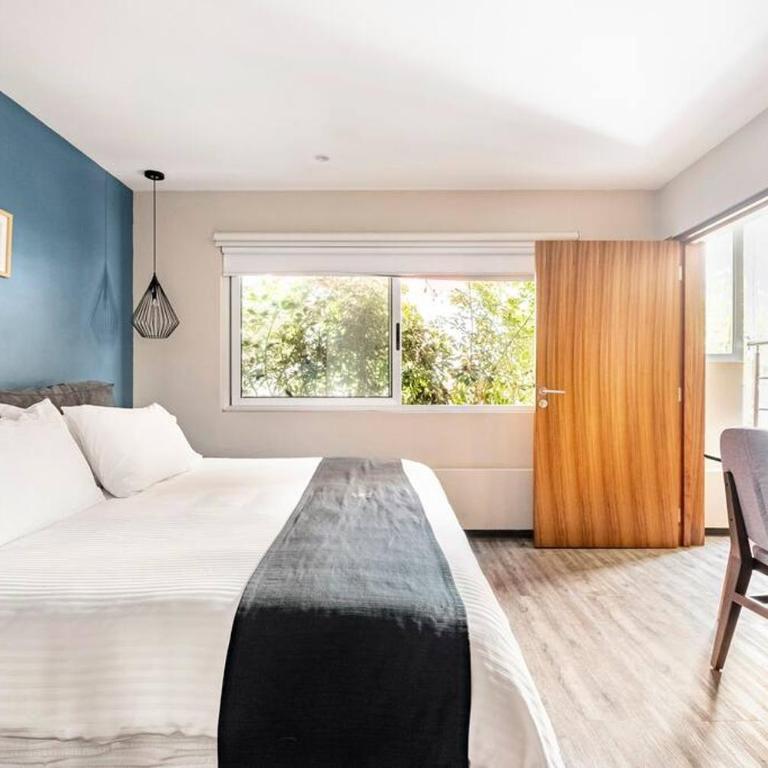 Excelente loft con terraza Polanco (INGA) - One-Bedroom Apartment - 1