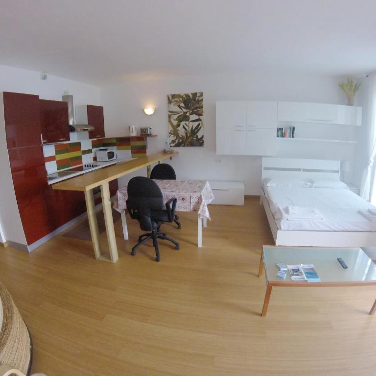 Studio Apartment Open Space with Terrace - Appartamento con Terrazza - 7