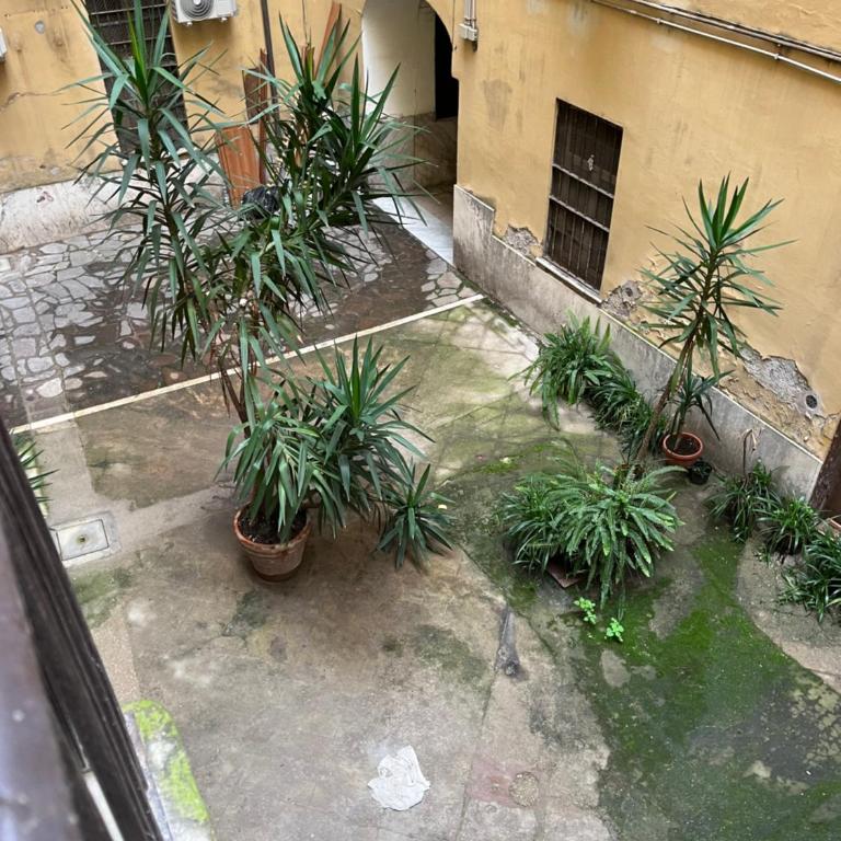 Kira Luxury Apartment with terrace - Appartamento con 3 Camere da Letto - 56