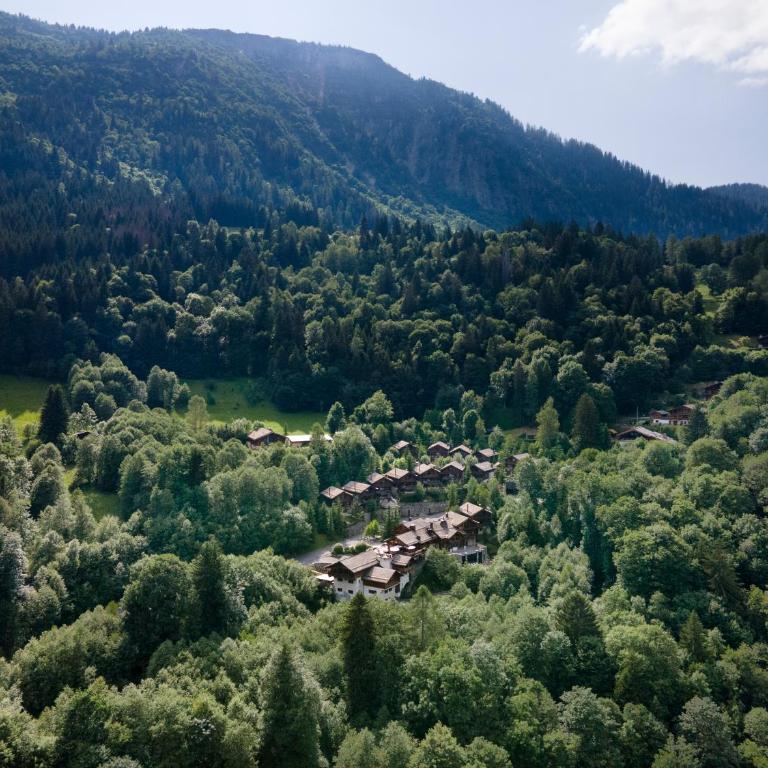 Les Granges d'en Haut - Chamonix Les Houches - Chalet 4 Chambres - 55
