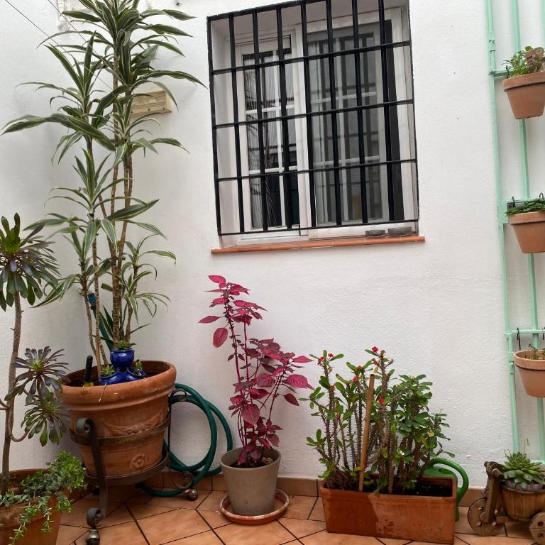 Enmitatiko Alcázar Viejo - One-Bedroom Apartment - 26