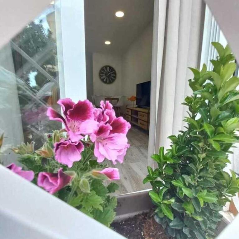 Nuevo apartamento junto al mar - Apartamento de 2 dormitorios - 19