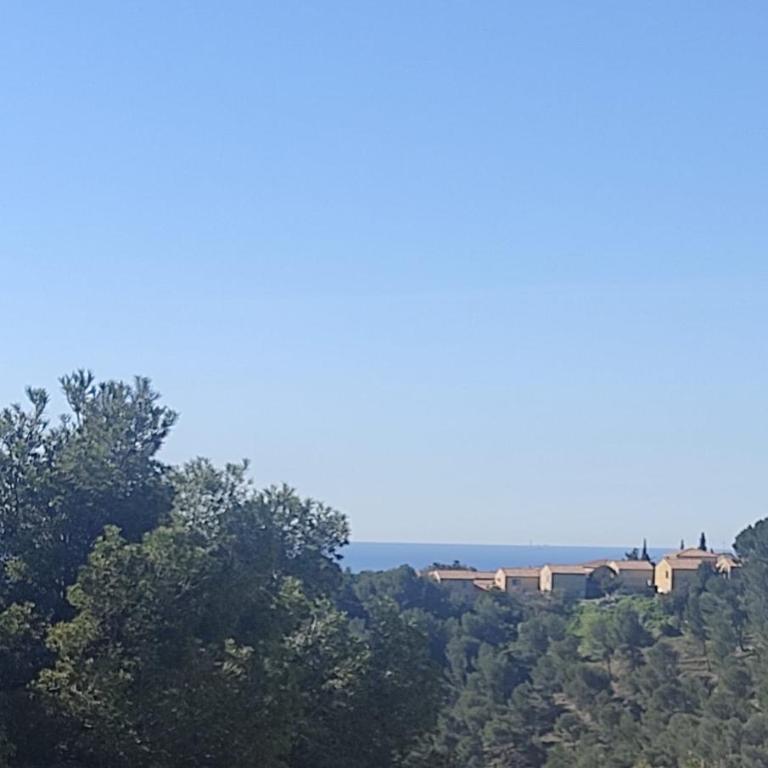 Studio indépendant terrasse entre mer et collines - Appartement 1 Chambre - 17