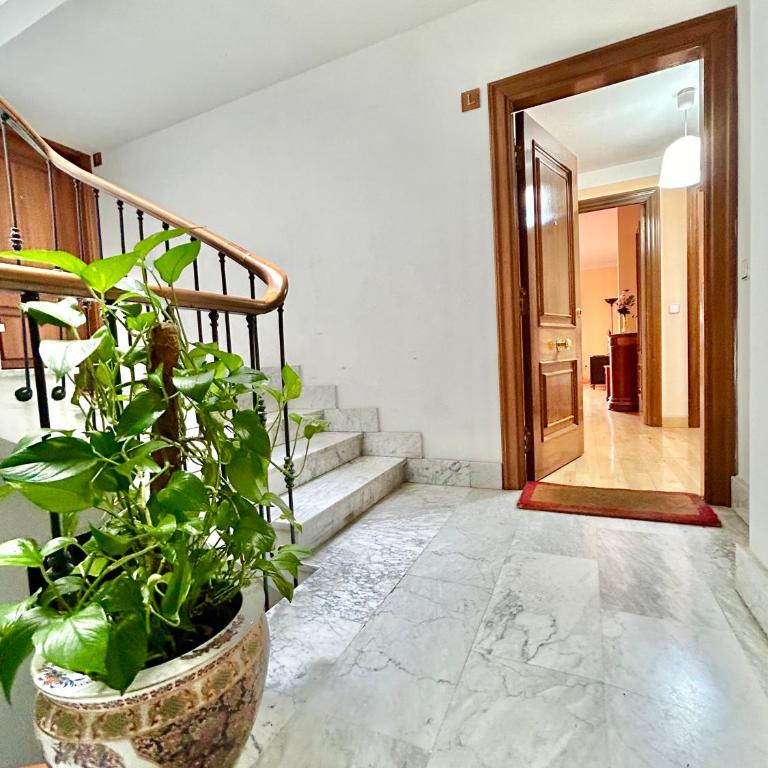 Vivienda Rectorado 2 - Apartamento de 1 dormitorio - 1