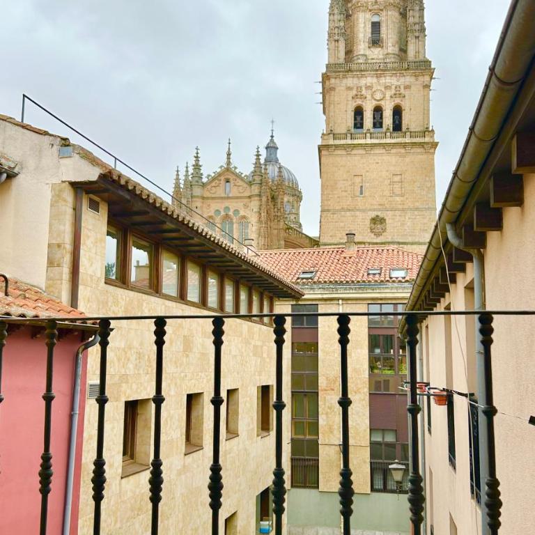 Vivienda Rectorado 2 - Apartamento de 1 dormitorio - 15