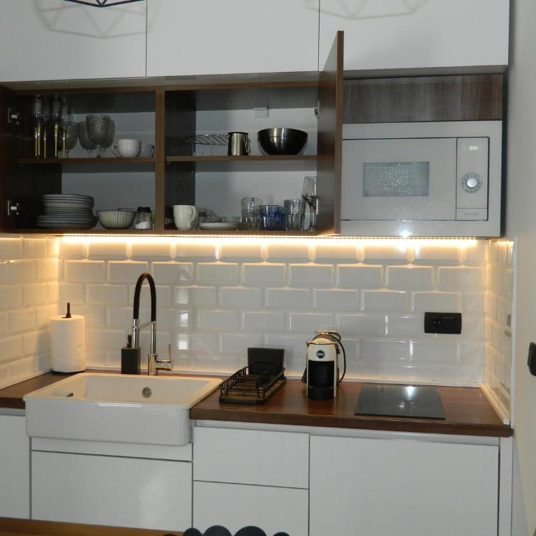 ROSE Downtown - Studio s King-sajz Krevetom i Sofom na Izvlačenje - 7