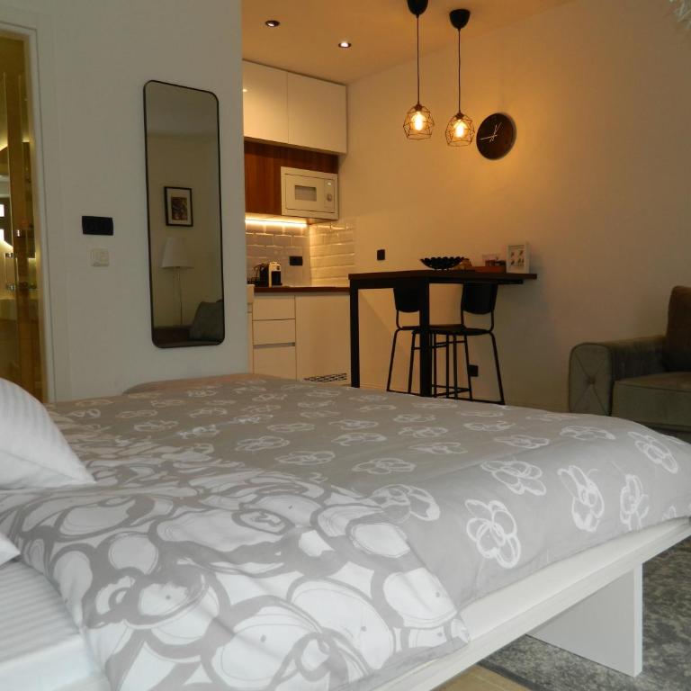 ROSE Downtown - Studio s King-sajz Krevetom i Sofom na Izvlačenje - 5