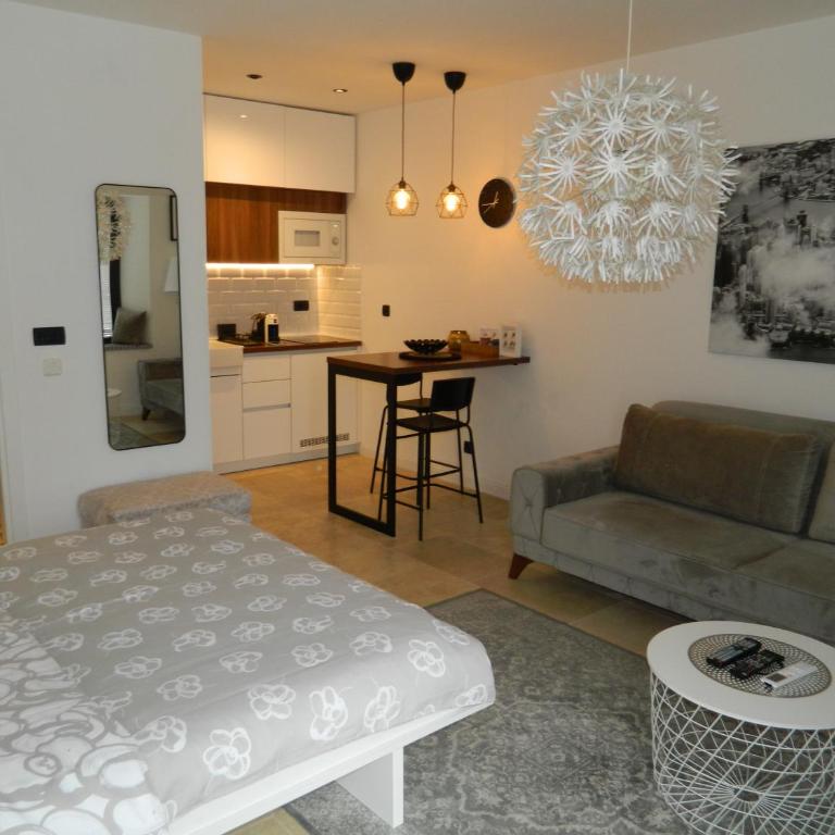 ROSE Downtown - Studio s King-sajz Krevetom i Sofom na Izvlačenje - 3