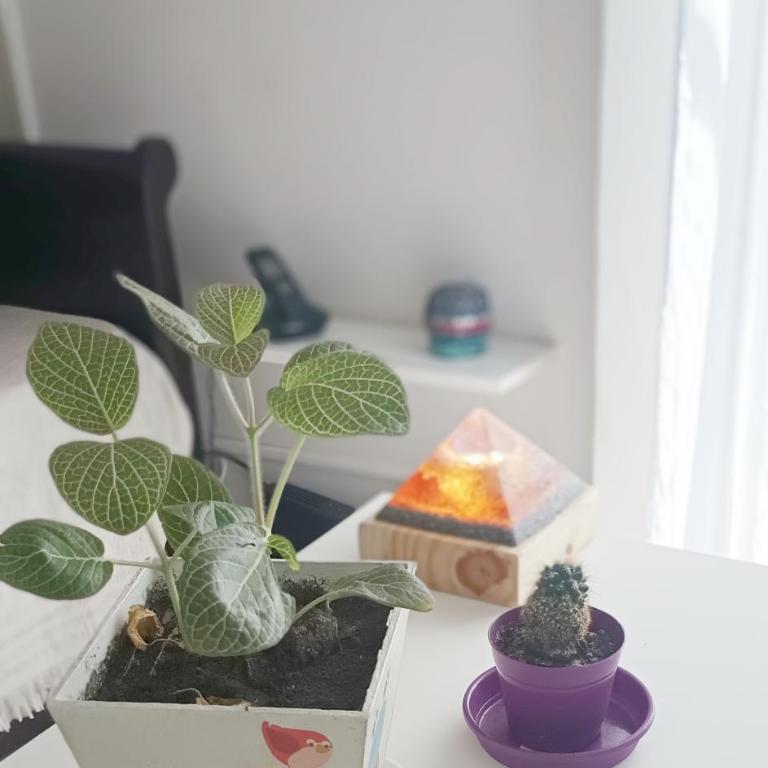 Departamento muy bien ubicado, cómodo y luminoso, Wifi en toda la ciudad - Apartamento de 1 dormitorio - 6