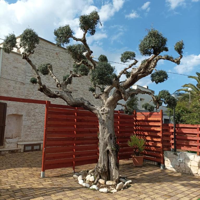 Casa Balice - Casa Vacanze - 9