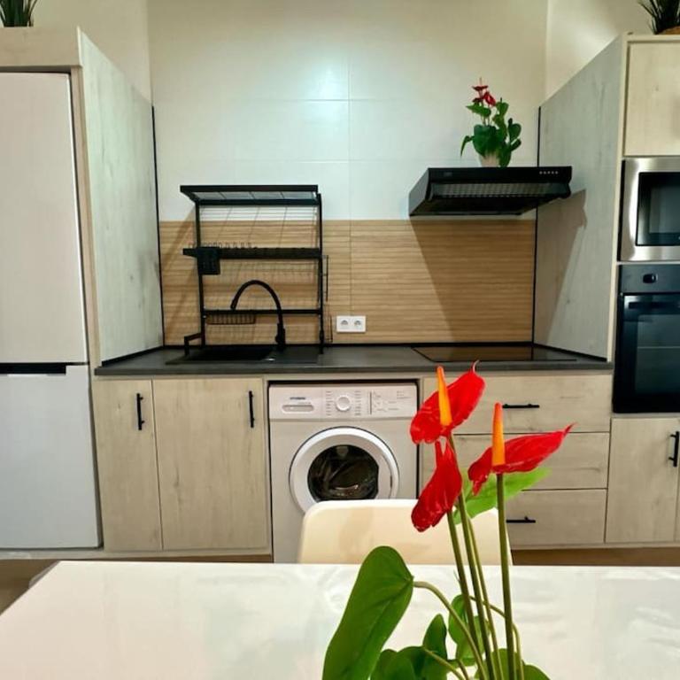 Estupendo Apartamento próximo al casco antiguo - Apartamento de 1 dormitorio - 1