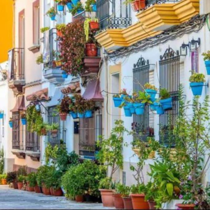 Estupendo Apartamento próximo al casco antiguo - Apartamento de 1 dormitorio - 8