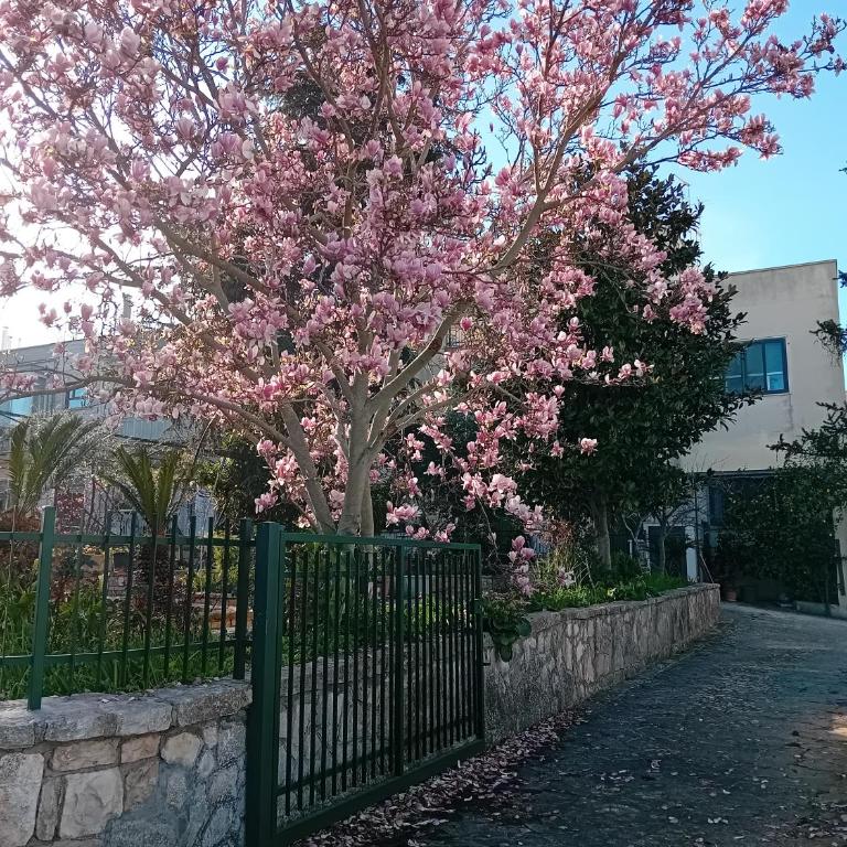 MT House - Appartamento con 2 Camere da Letto - 19