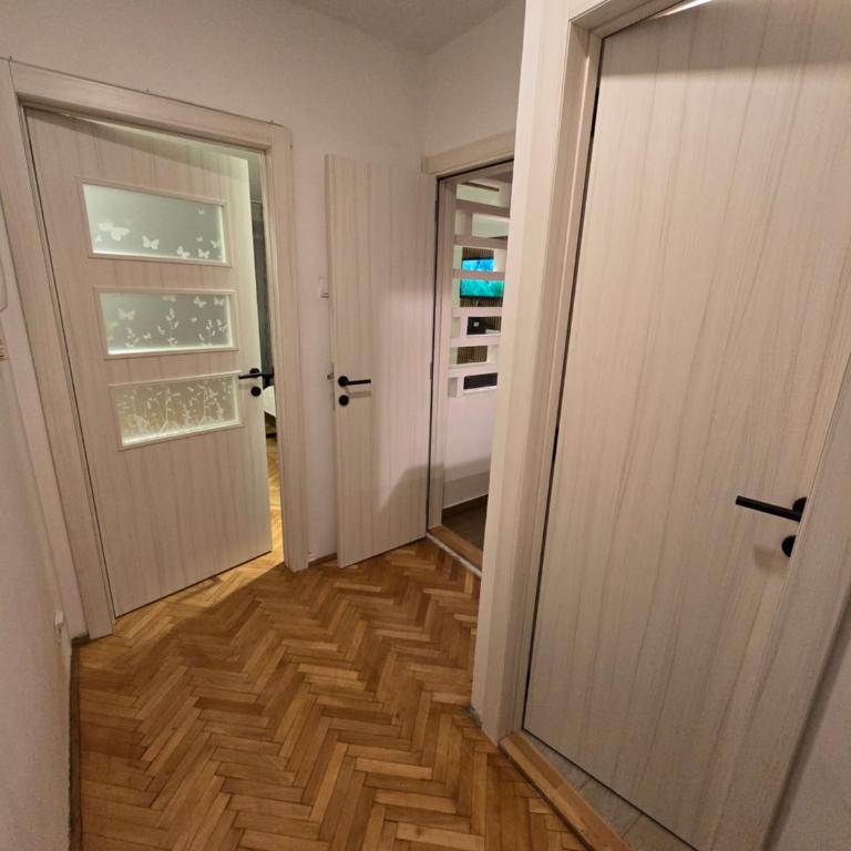 Azzurro Studio Apartment - Apartment - 2