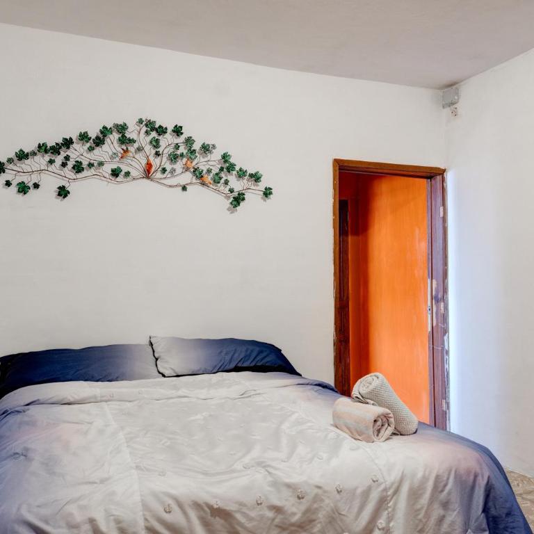 Casa Palaxs - Economy Double Room - 1