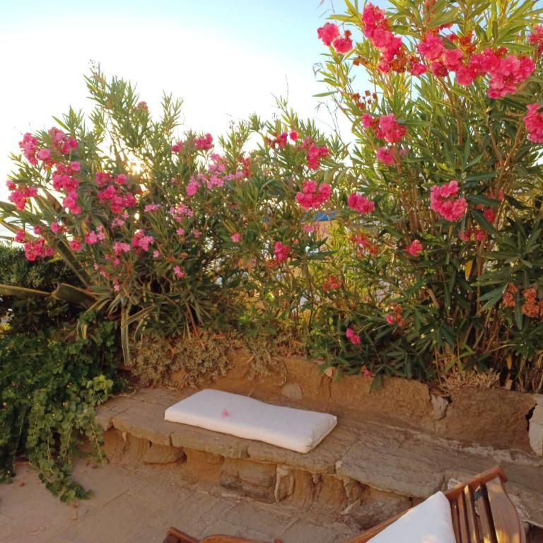 Pantelleria Punta Tre Pietre 33 - Haus mit 3 Schlafzimmern - 7