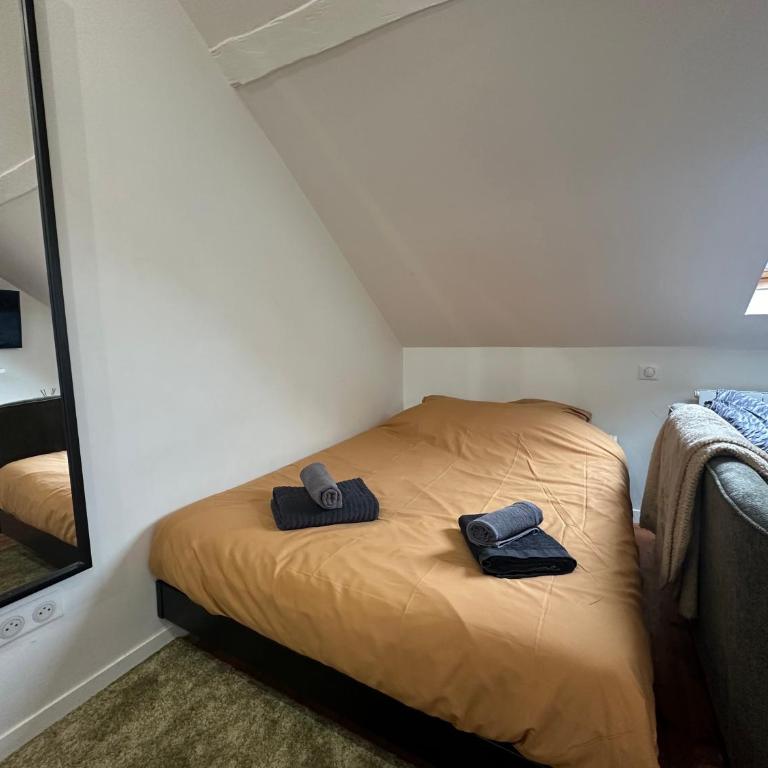 IMMEUBLE ST-PIERRE - GARE 10min - HORTILLONNAGES 5min - WIFI - TV HD - Estudio Superior - 15