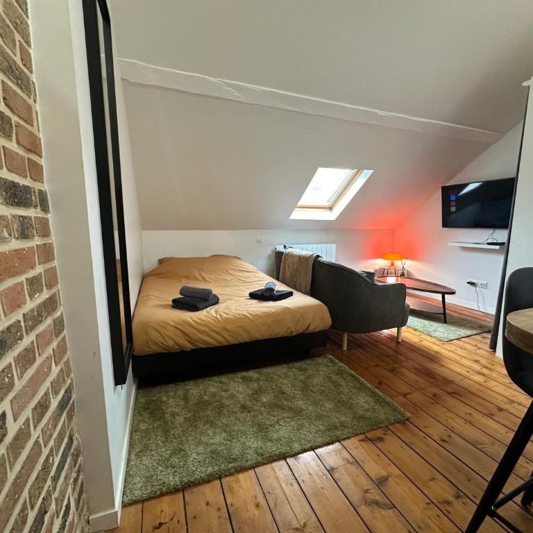 IMMEUBLE ST-PIERRE - GARE 10min - HORTILLONNAGES 5min - WIFI - TV HD - Estudio Superior - 13