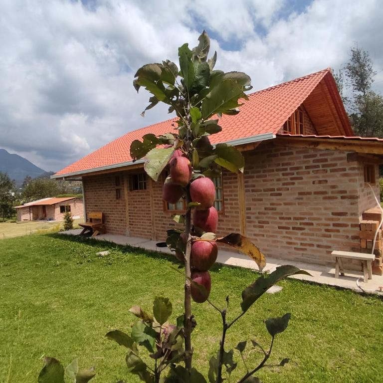 Cabañas Tecla María - Two-Bedroom House - 5