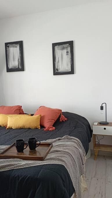 Casa quinta con jacuzzi piscina y parrilla en Resistencia - Casa de 2 dormitorios - 29