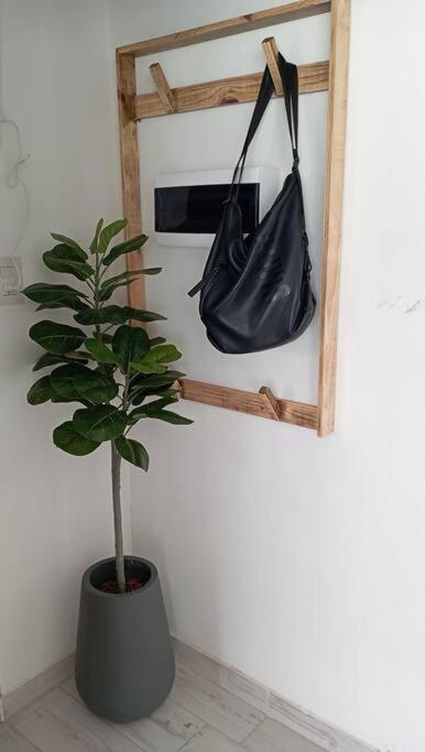 Casa quinta con jacuzzi piscina y parrilla en Resistencia - Casa de 2 dormitorios - 42