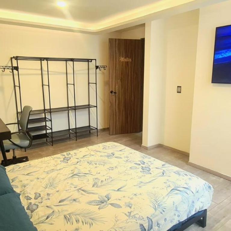Cálida casa pet friendly, CDMX - Deluxe Queen Room - 3