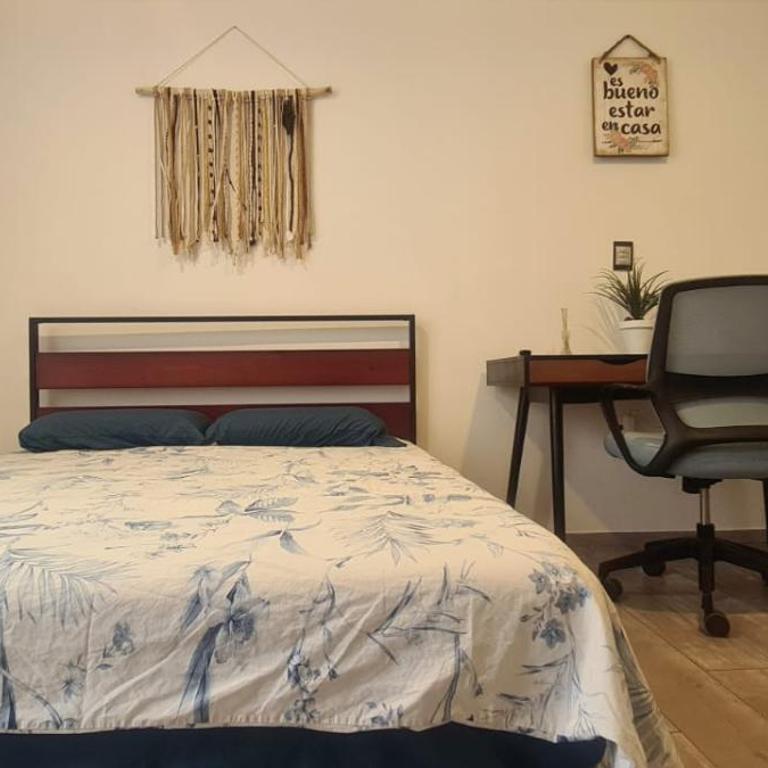 Cálida casa pet friendly, CDMX - Deluxe Queen Room - 27
