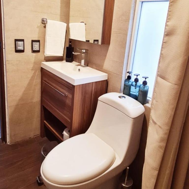 Cálida casa pet friendly, CDMX - Apartment - 35