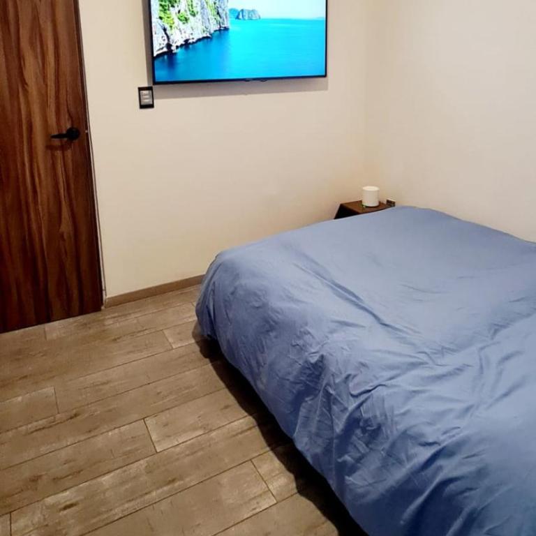 Cálida casa pet friendly, CDMX - Apartment - 39