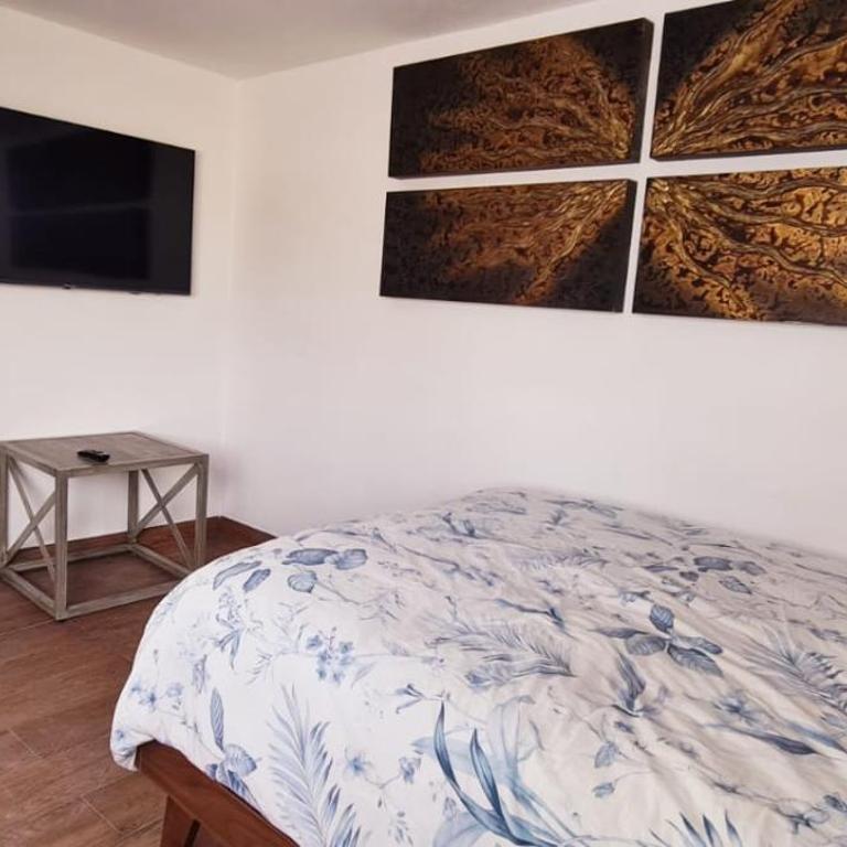 Cálida casa pet friendly, CDMX - Apartment - 57