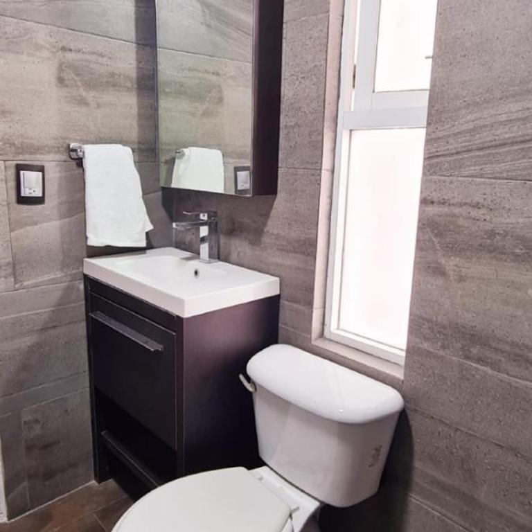 Cálida casa pet friendly, CDMX - Apartment - 63
