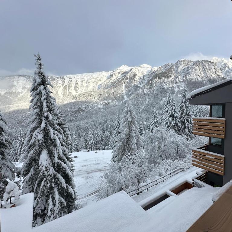 Casa i Larici del Brenta - Appartamento con 1 Camera da Letto - 49