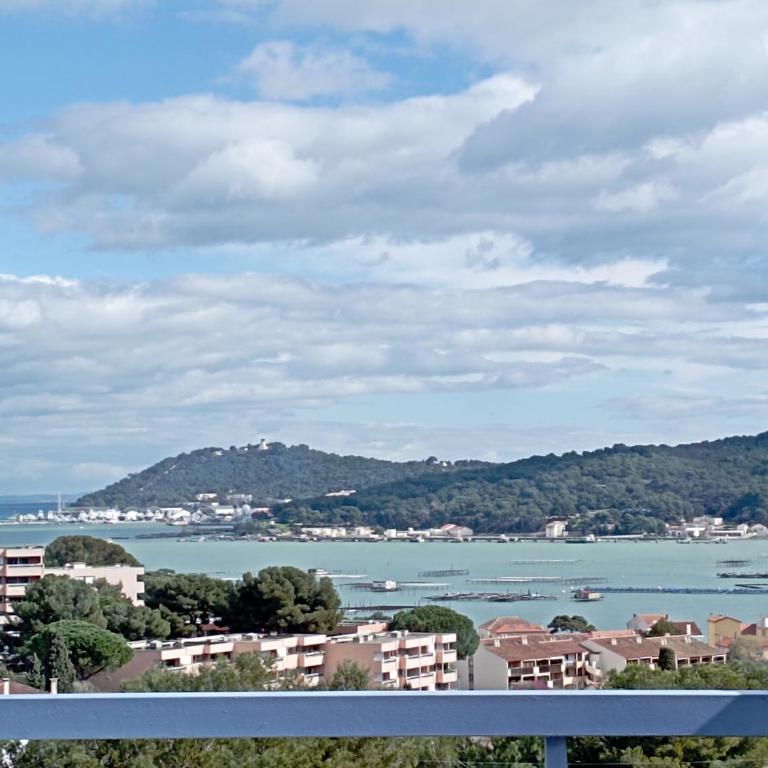 Charmant T 2, vue mer imprenable - Appartement 1 Chambre - 3