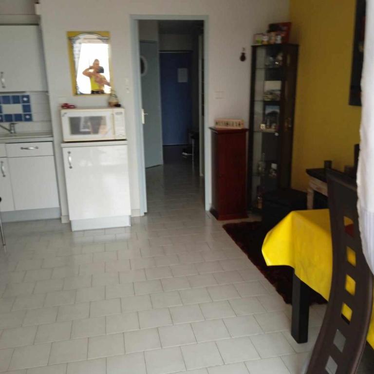 Charmant T 2, vue mer imprenable - Appartement 1 Chambre - 7