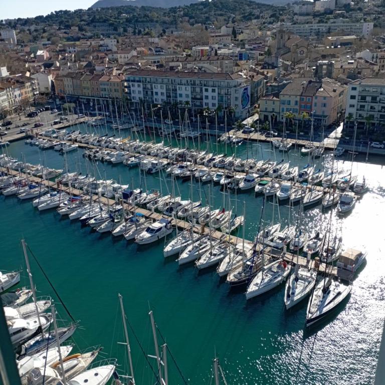 Charmant T 2, vue mer imprenable - Appartement 1 Chambre - 8
