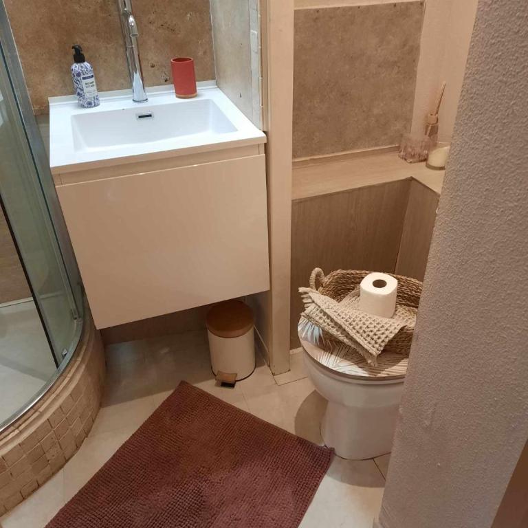 Vacances en paradis - Appartement 1 Chambre - 53